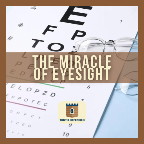 The Miracle of&nbsp;Eyesight